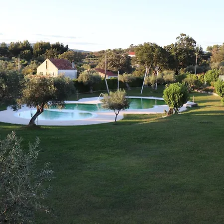 Dos Delgados - Orca, Castelo Branco