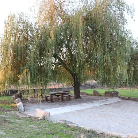 Dos Delgados - Orca, Castelo Branco Orca