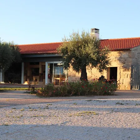 Dos Delgados - Orca, Castelo Branco Pensjonat 3*