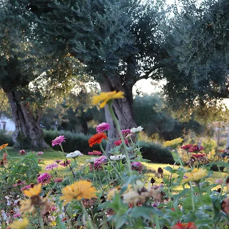 Pensjonat Dos Delgados - Orca, Castelo Branco Orca