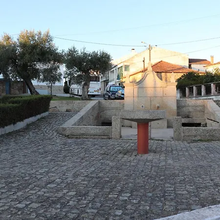 Dos Delgados - Orca, Castelo Branco