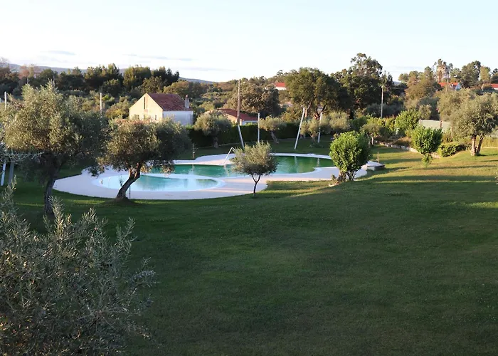 Dos Delgados - Orca, Castelo Branco