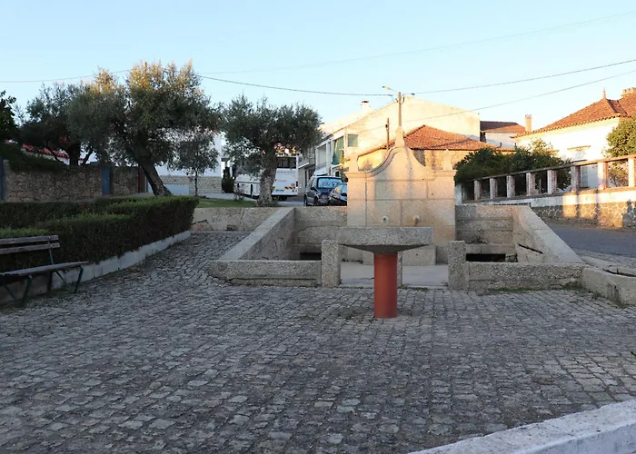 Dos Delgados - Orca, Castelo Branco